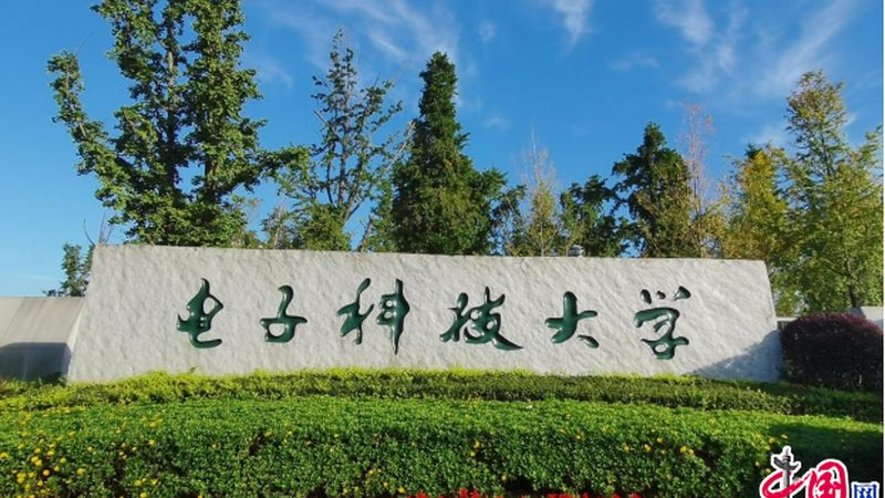 采购痛点：成本与性能的平衡